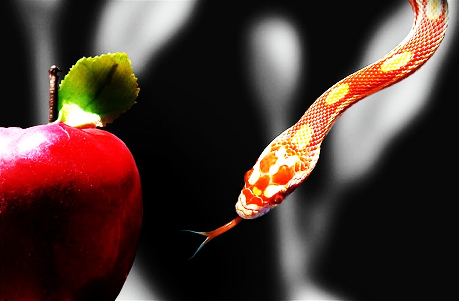 temptation-apple-and-snake.jpg