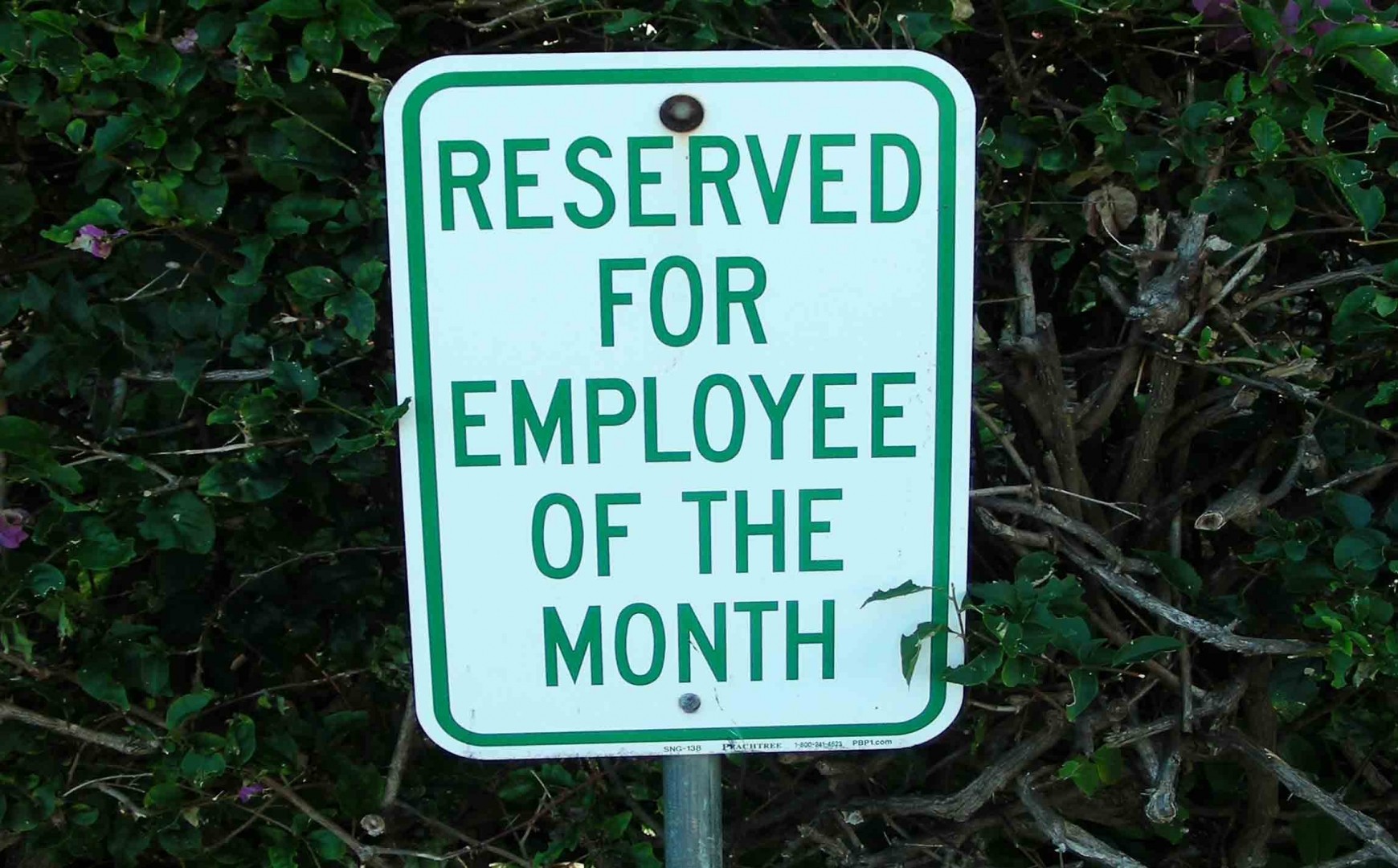 employee-rewards.jpg