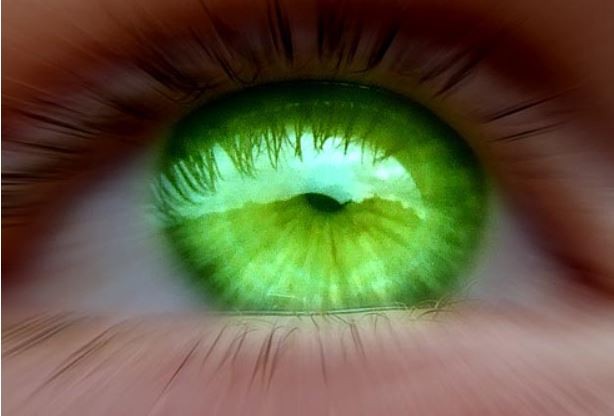 green-eyed-monster.jpg