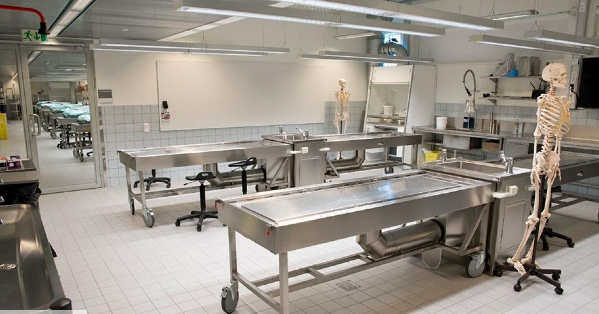 boncterem_980x480.jpg