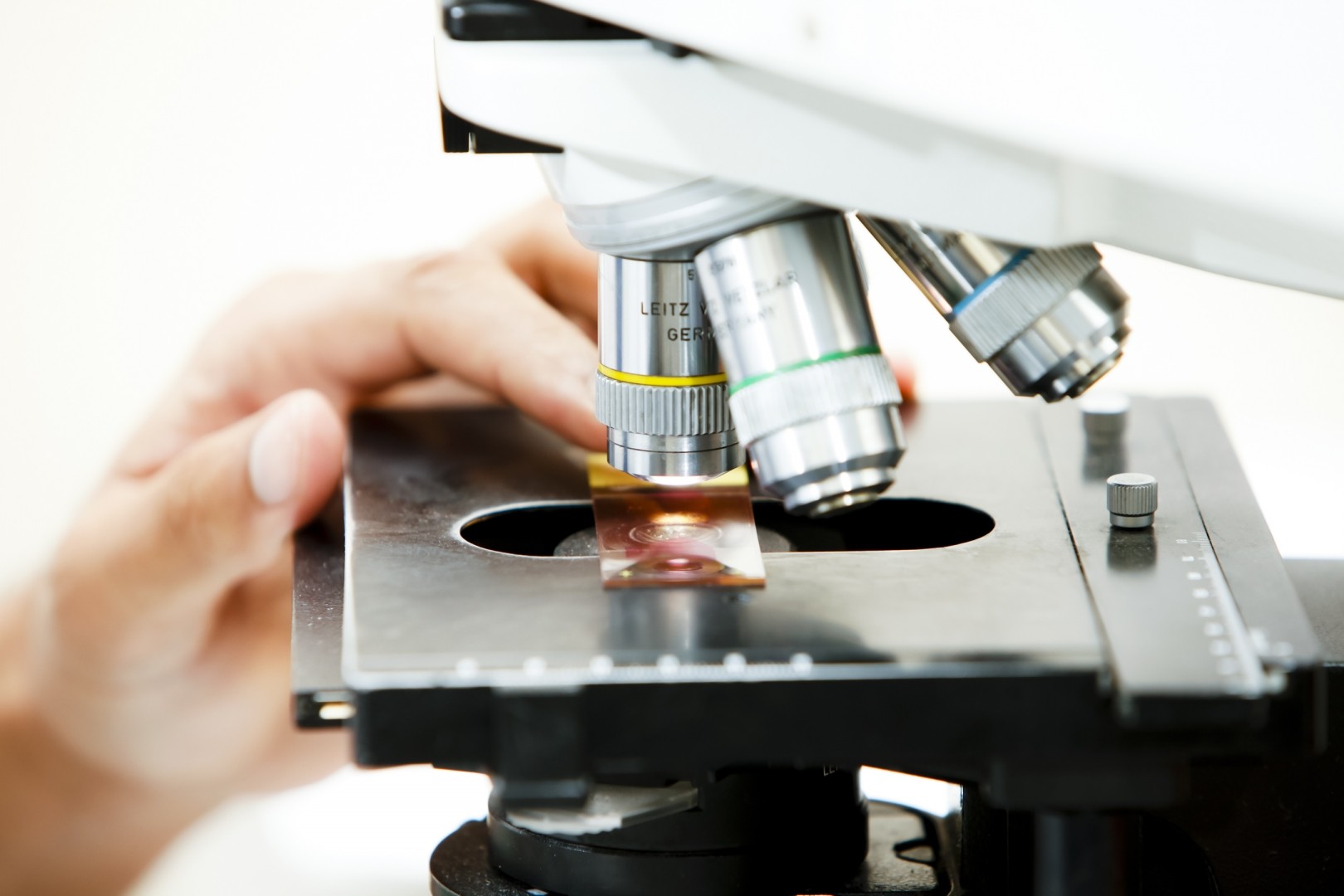 pathology_index.jpg