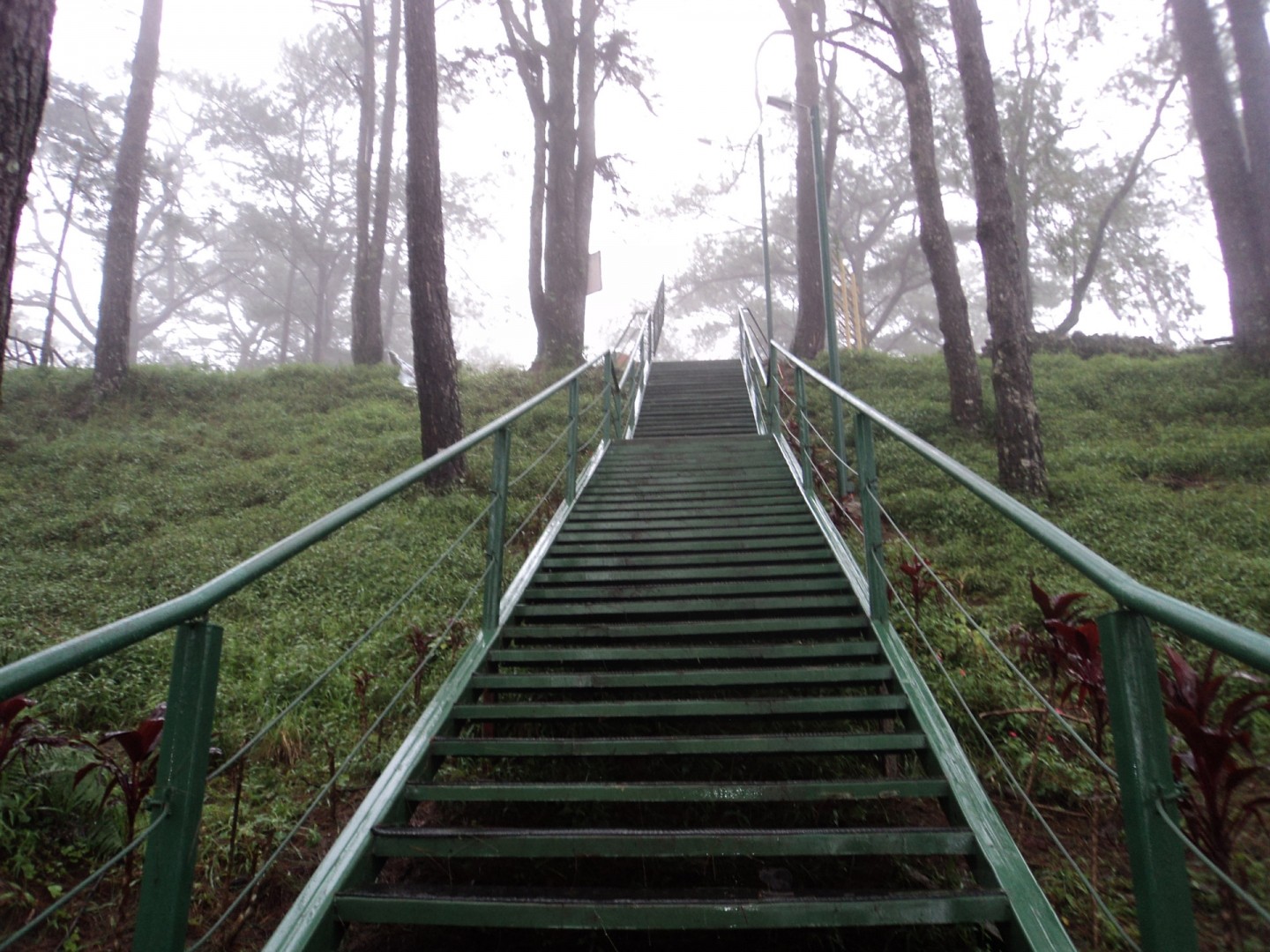 long-stairs-1352364245i27.jpg
