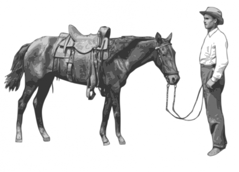 horse-cowboy.png